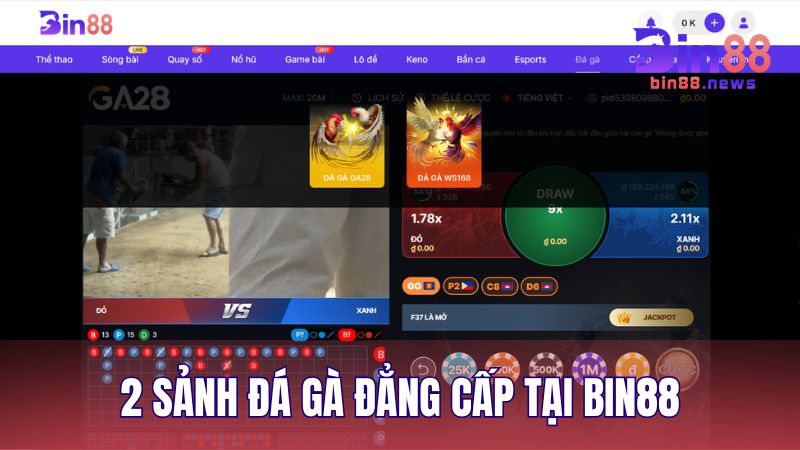 2 sảnh đá gà đẳng cấp tại BIN88 gồm GA28 và WS168