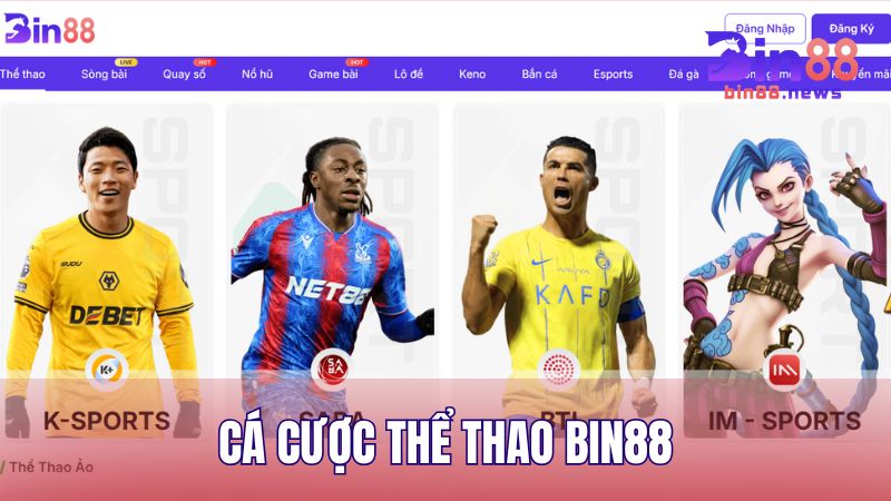 Cá cược thể thao với hơn 9.000+ trận đấu mở cược mỗi ngày