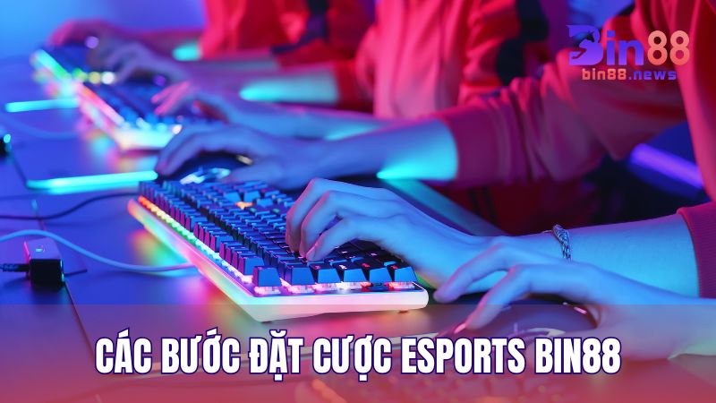 Hướng dẫn nhanh các bước tham gia cá cược Esports đơn giản trên BIN88