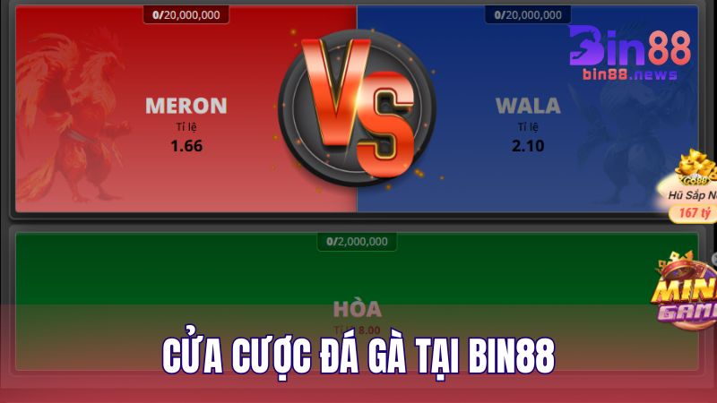 Hệ thống cửa cược đá gà trực tuyến tại BIN88