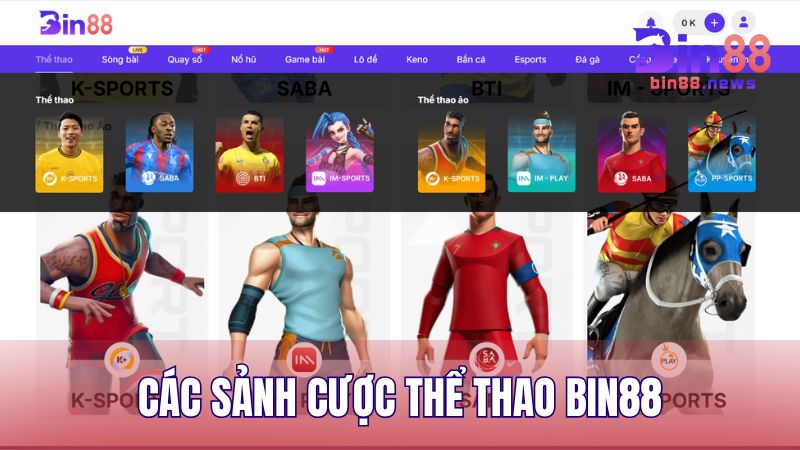 Hệ thống sảnh cược thể thao tại BIN88 đa dạng từ thể thao thực tế cho đến Thể Thao Ảo