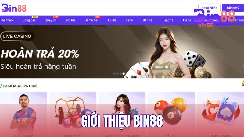 Giới thiệu nhà cái BIN88