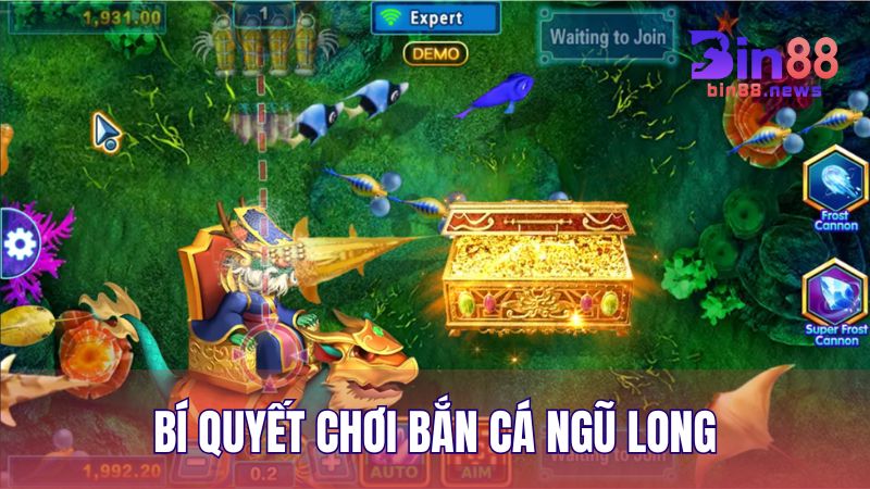 Học hỏi những bí quyết nâng cao kỹ năng khi chơi săn cá Ngũ Long